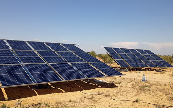 Fayum, Mısır'da 18kW Güneş Enerjili Su Pompası İnvertörü